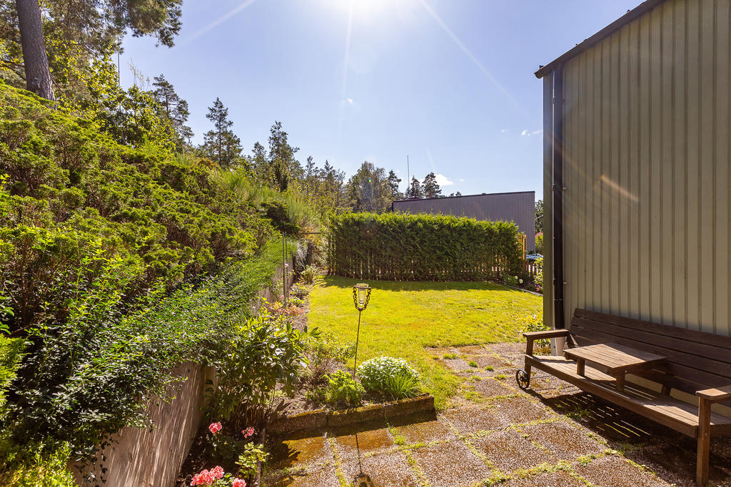 Trädgård