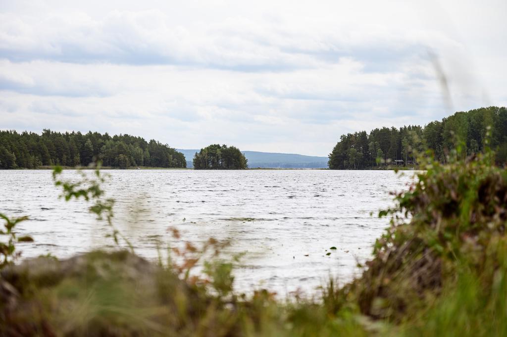 Främby Udde
