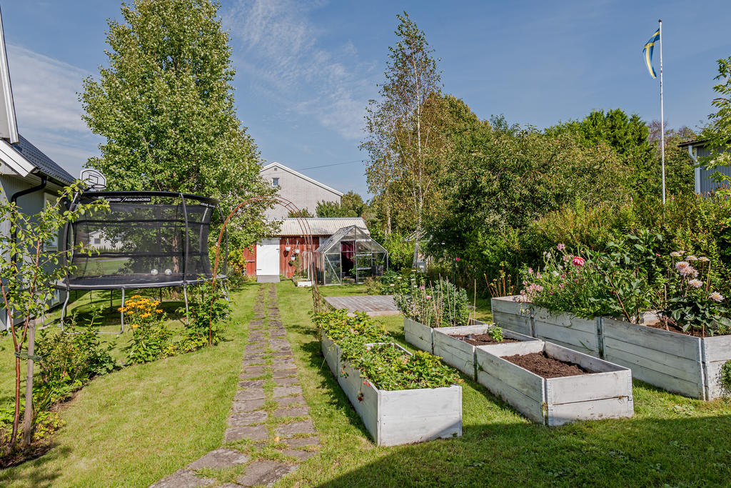 Mysig trädgård med odlingsmöjligheter