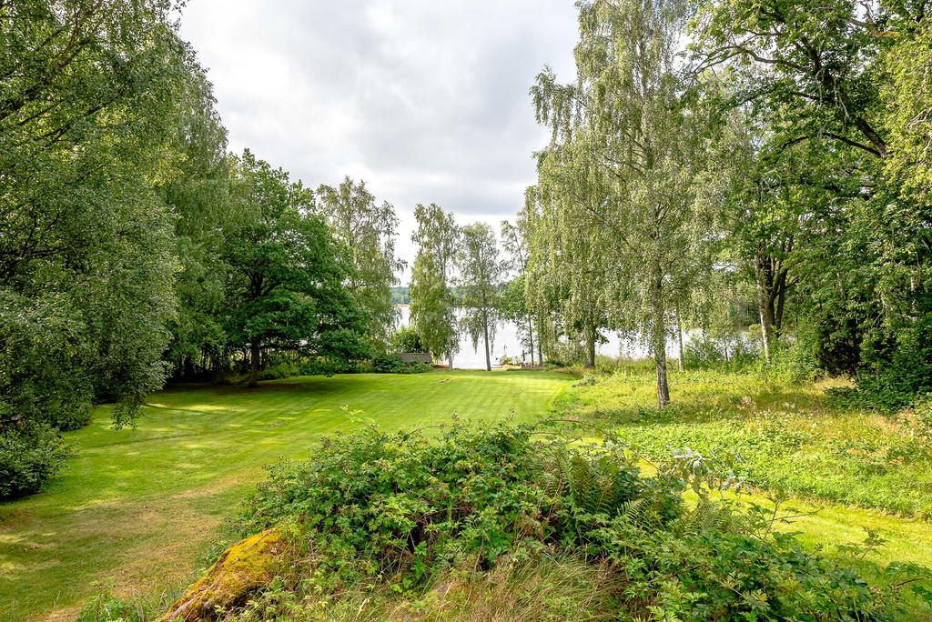 Stora gräsytor ner mot sjön