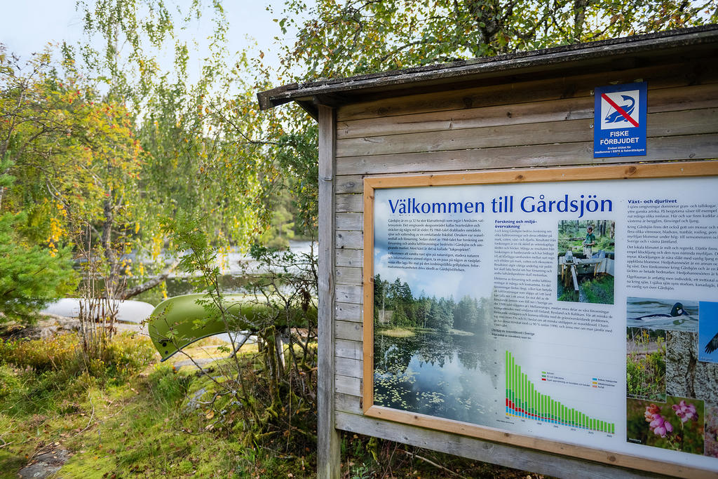 Gårdsjön inbjuder till kanotturer, bad, skridsko- och skidturer.