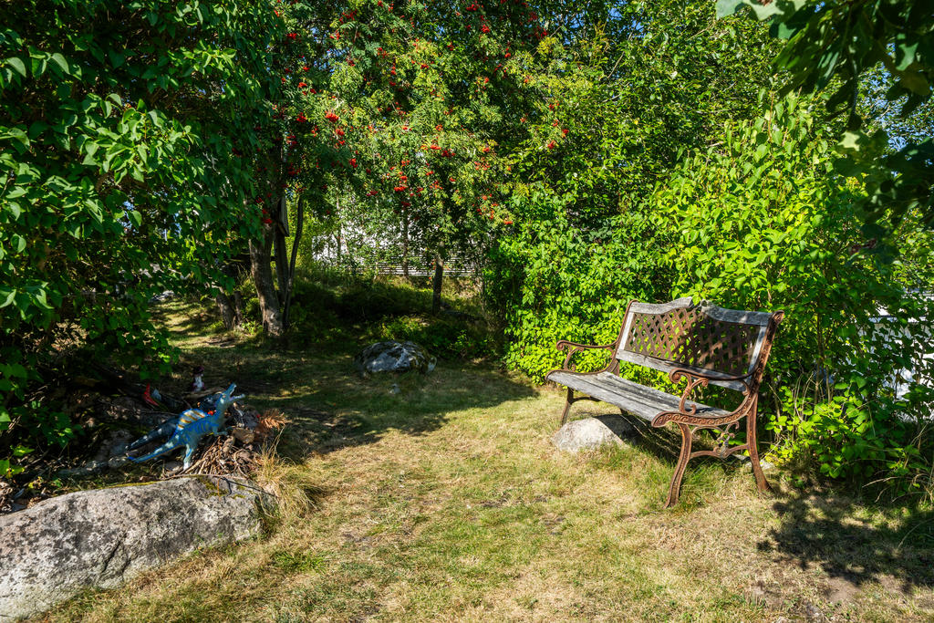 "Hemliga" skogsdungen vid södra tomtgränsen