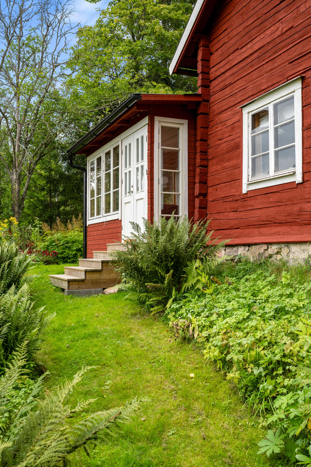 Trädgård