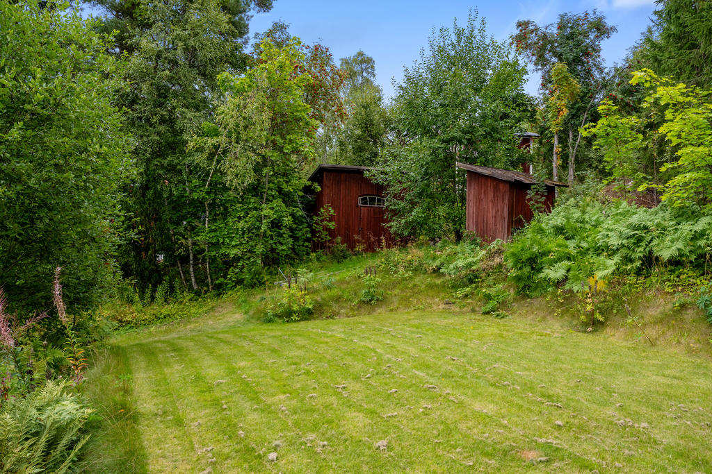 Trädgård
