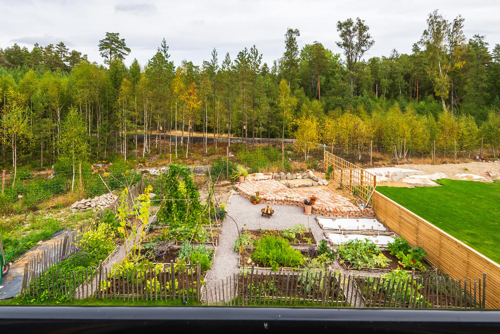 Utsikt över trädgården och odlingarna