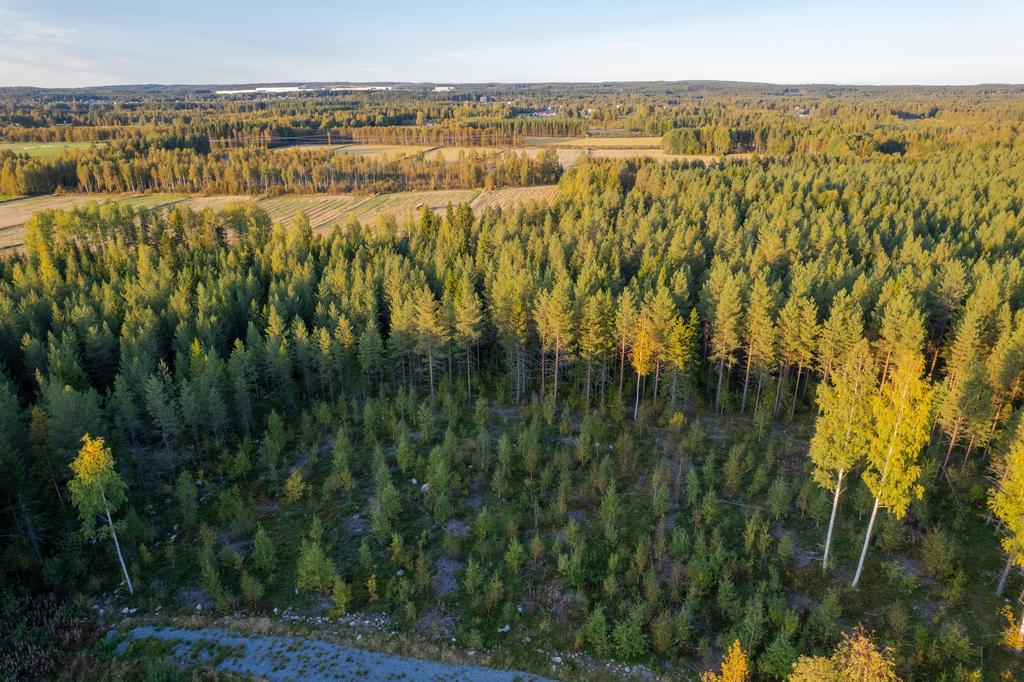 Bild 3 från Svensk Fastighetsförmedling