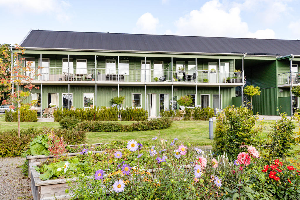 Grönskande innergård 