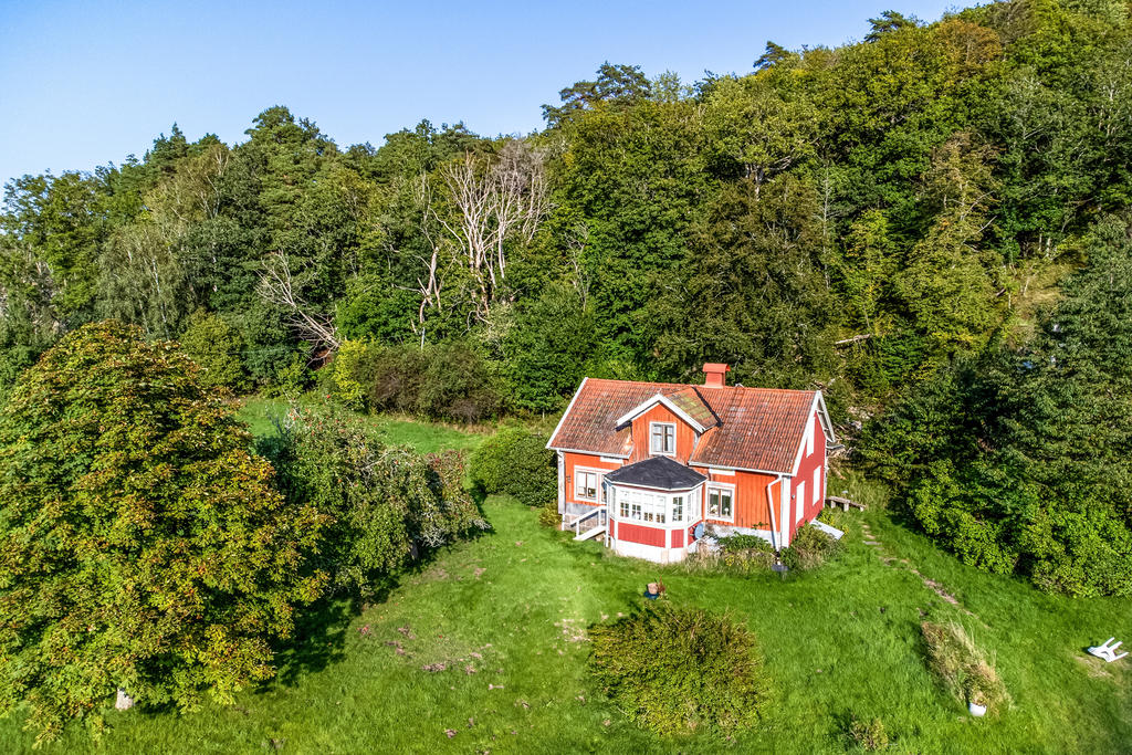 Huset inbäddat i grönska