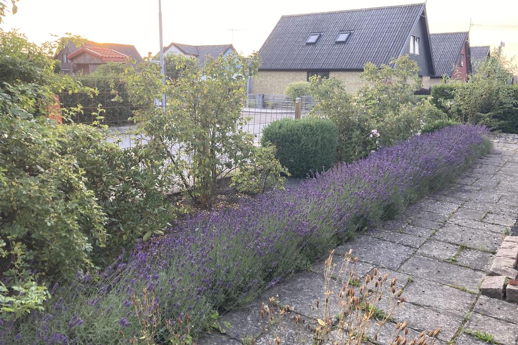 Säljarens bild