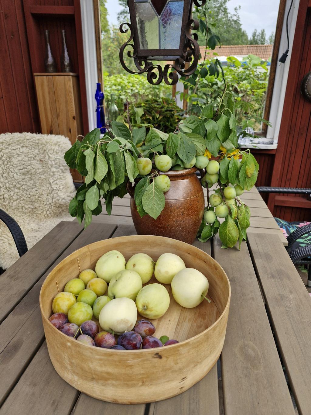 Frukter från trädgården