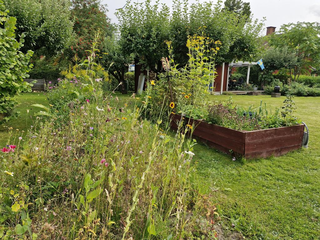 Här stortrivs blommorna!