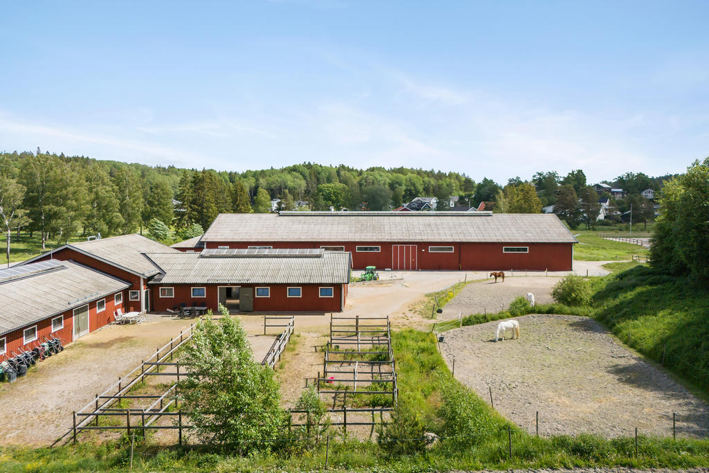 Lövsta Gårds ridskola