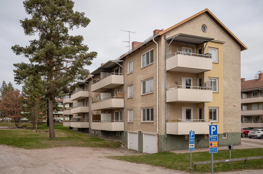 Frejgatan 12