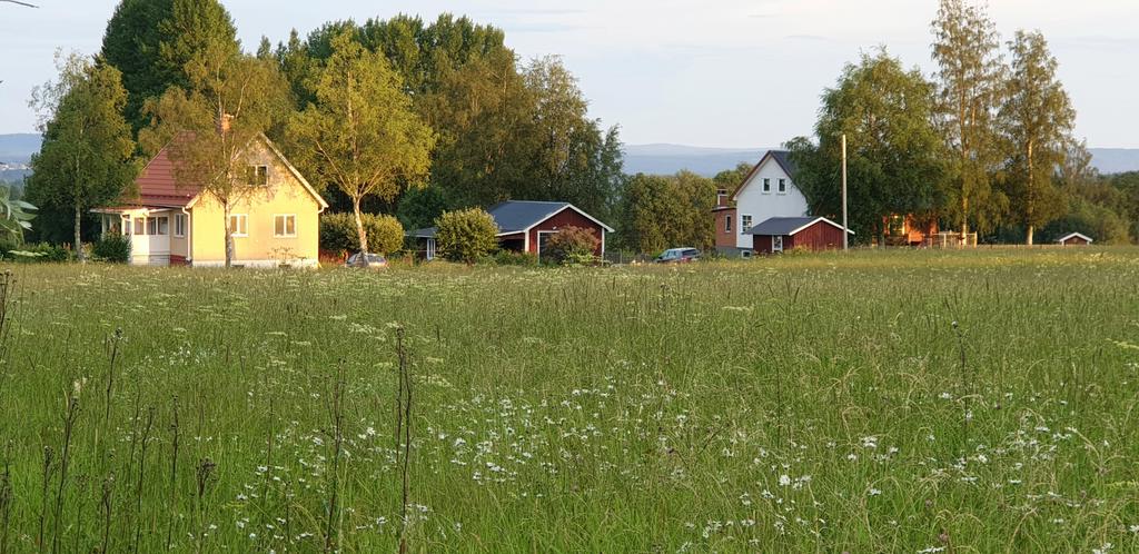 Säljarens egna bilder