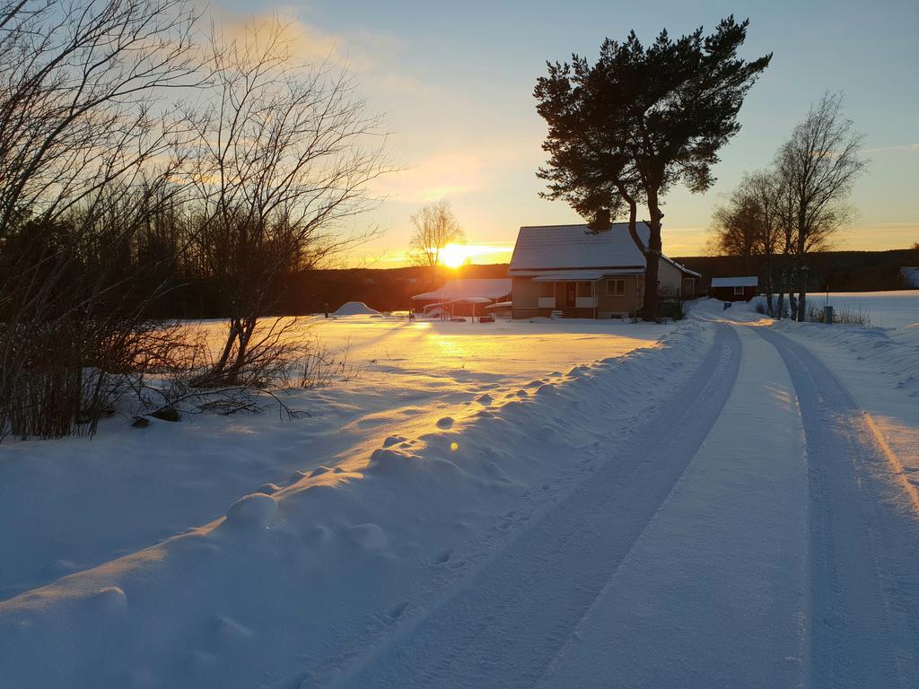 Säljarens egna bilder