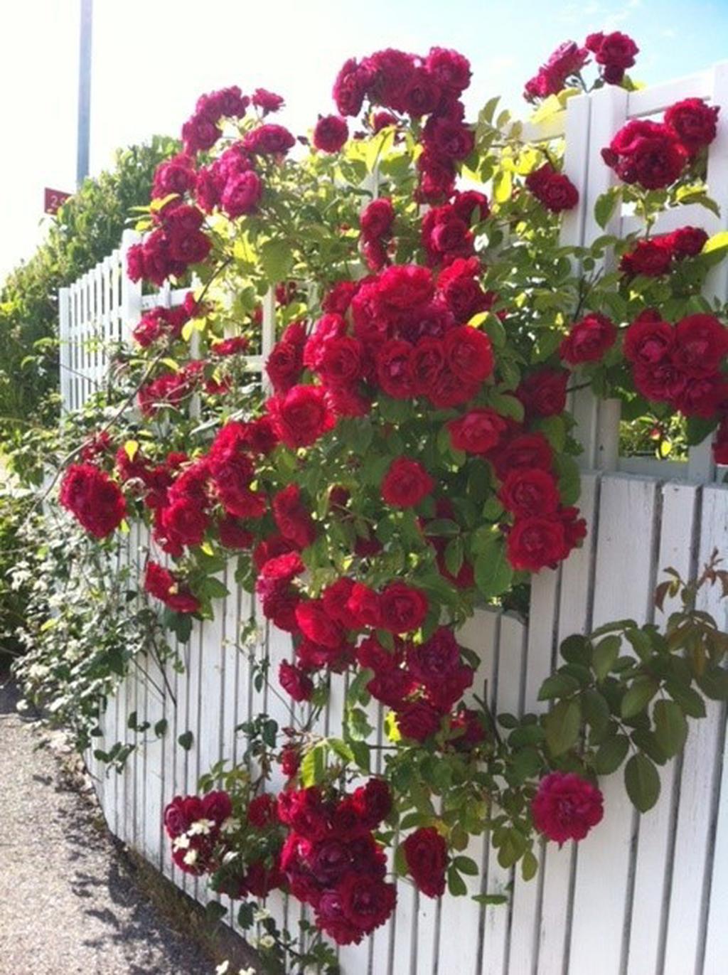 Säljarens sommarbild