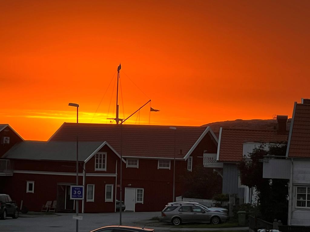 Säljarens sommarbild