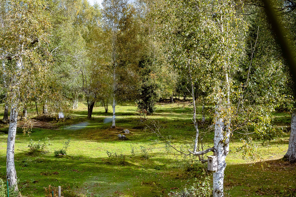 Ljuvlig vy från Sovrum 3 mot hästhagen bakom huset