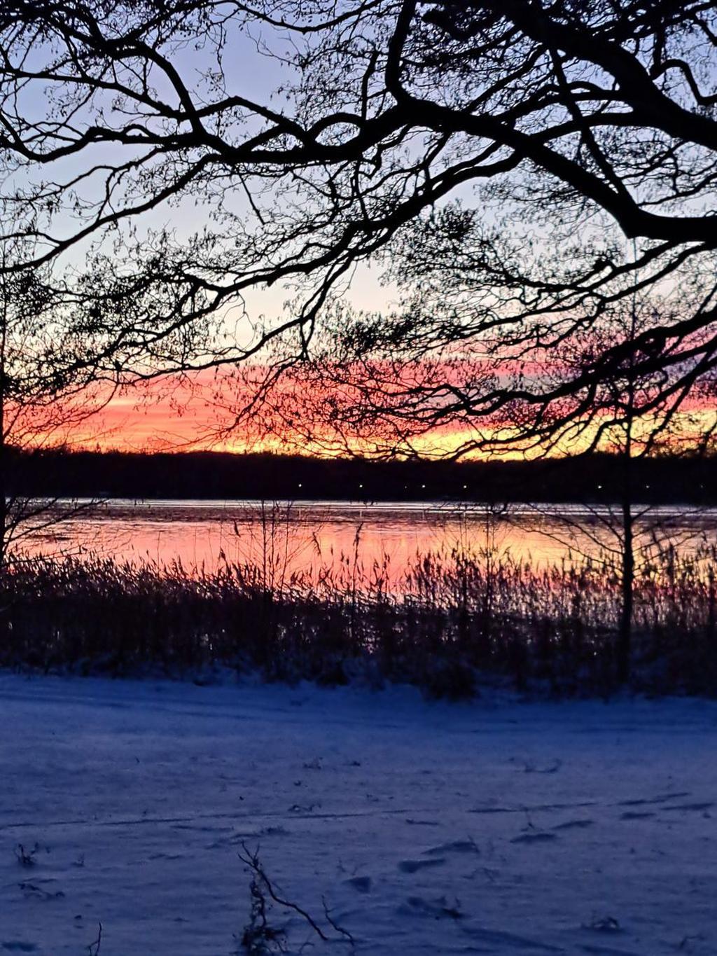 Omgivning (säljarens bild)