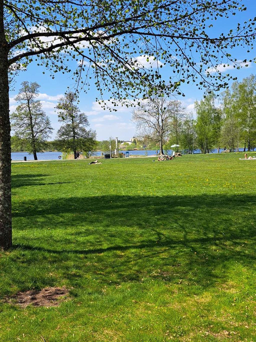 Omgivning (säljarens bild)
