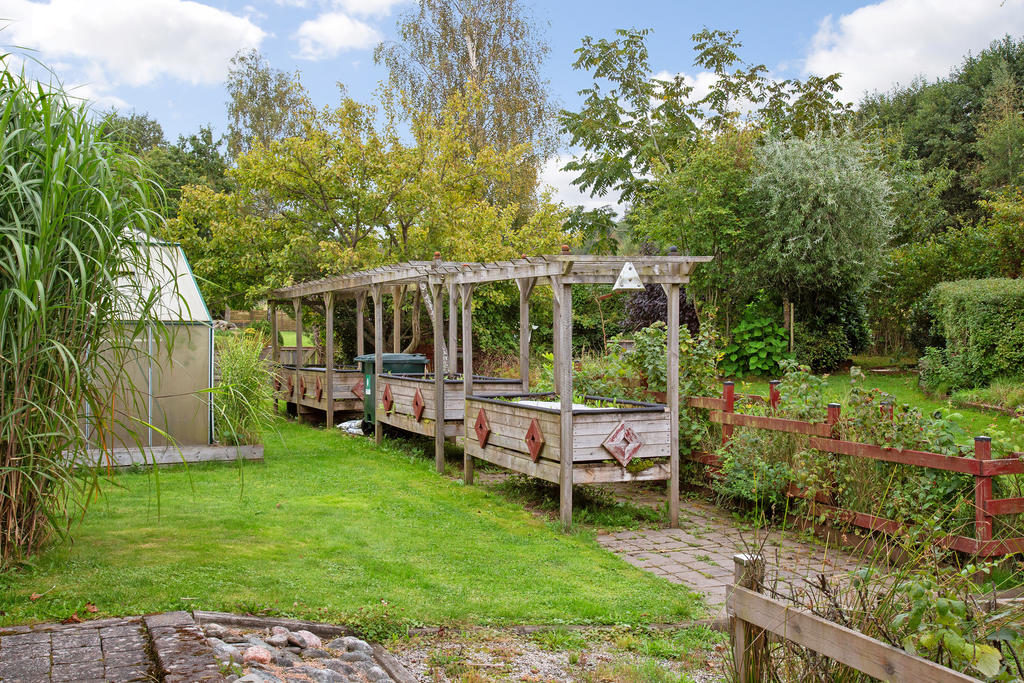 Trädgård