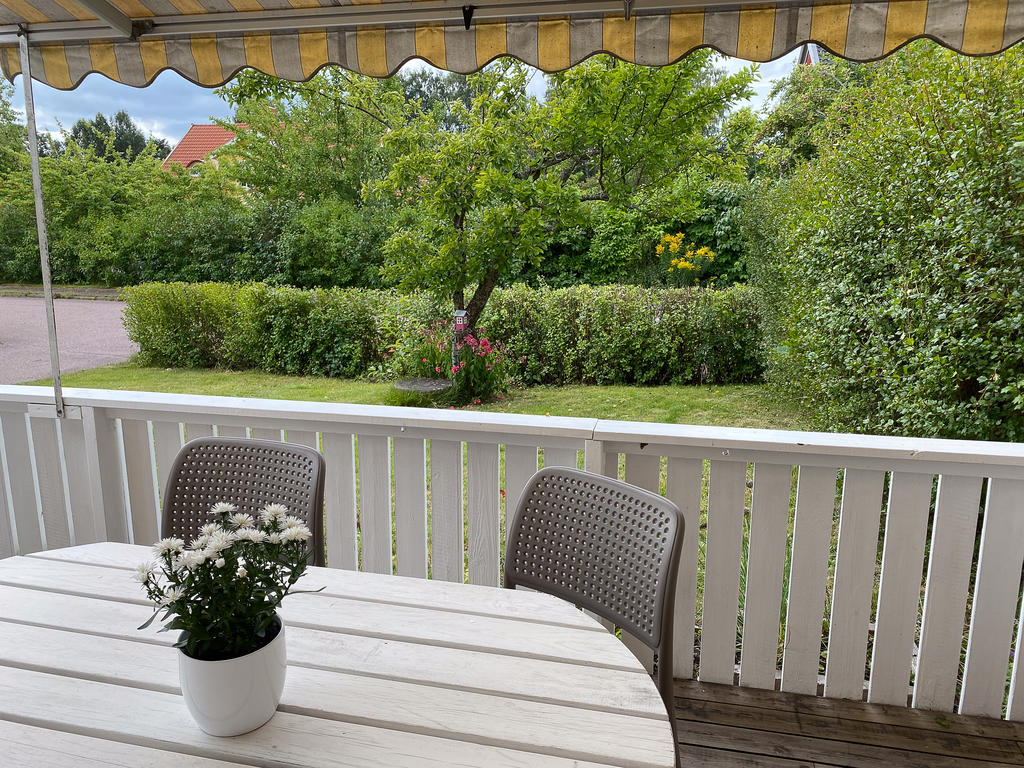 Grönskande trädgård