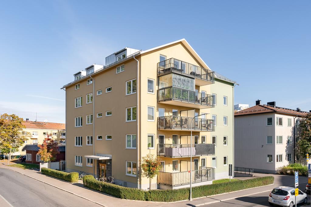 Exteriör