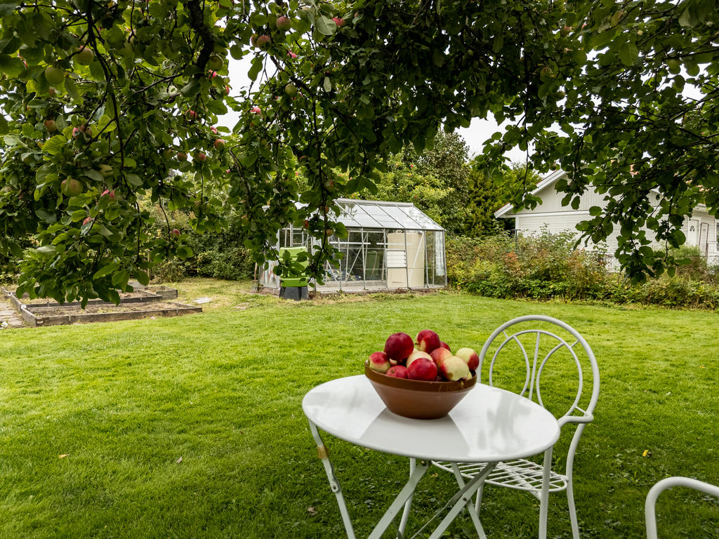 Växthuset i bakgrunden