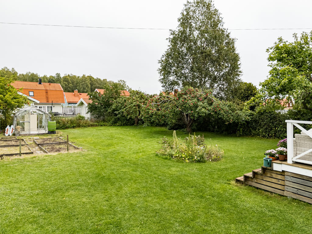 Lummig och fin trädgård