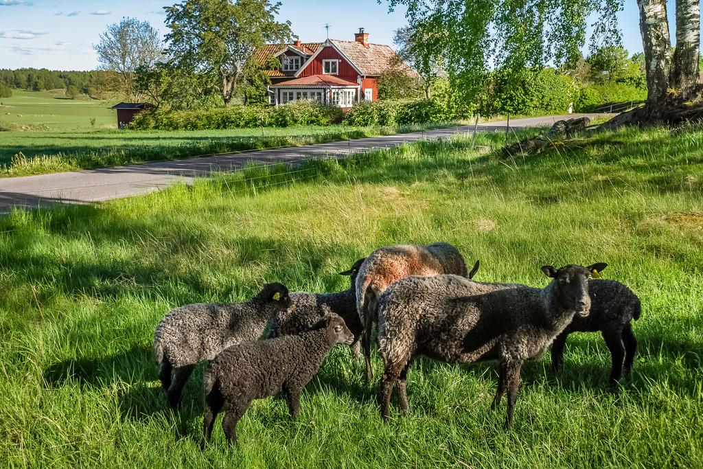 Säljarens bild