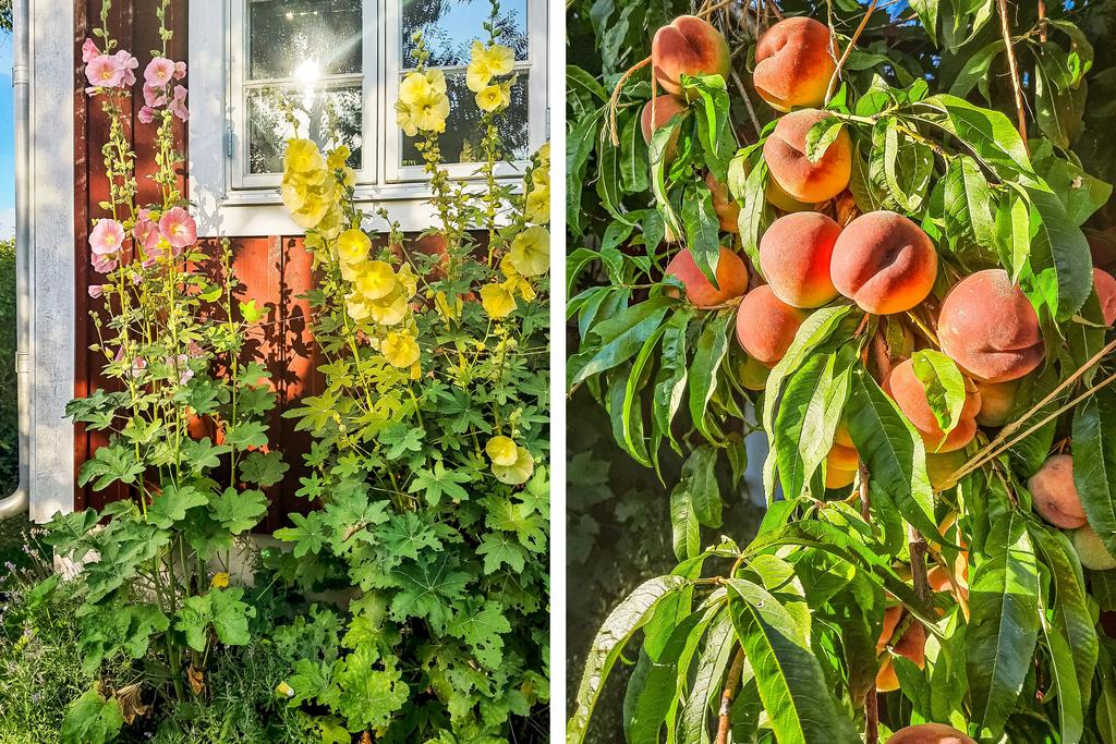 Säljarens egna bilder