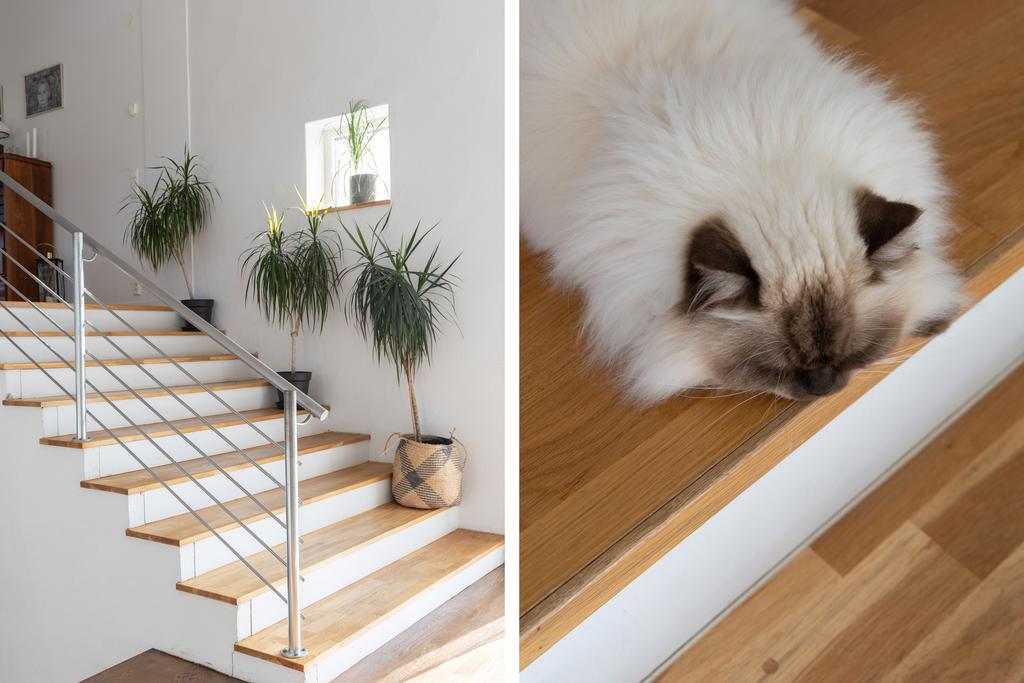 Halvtrappa till allrum