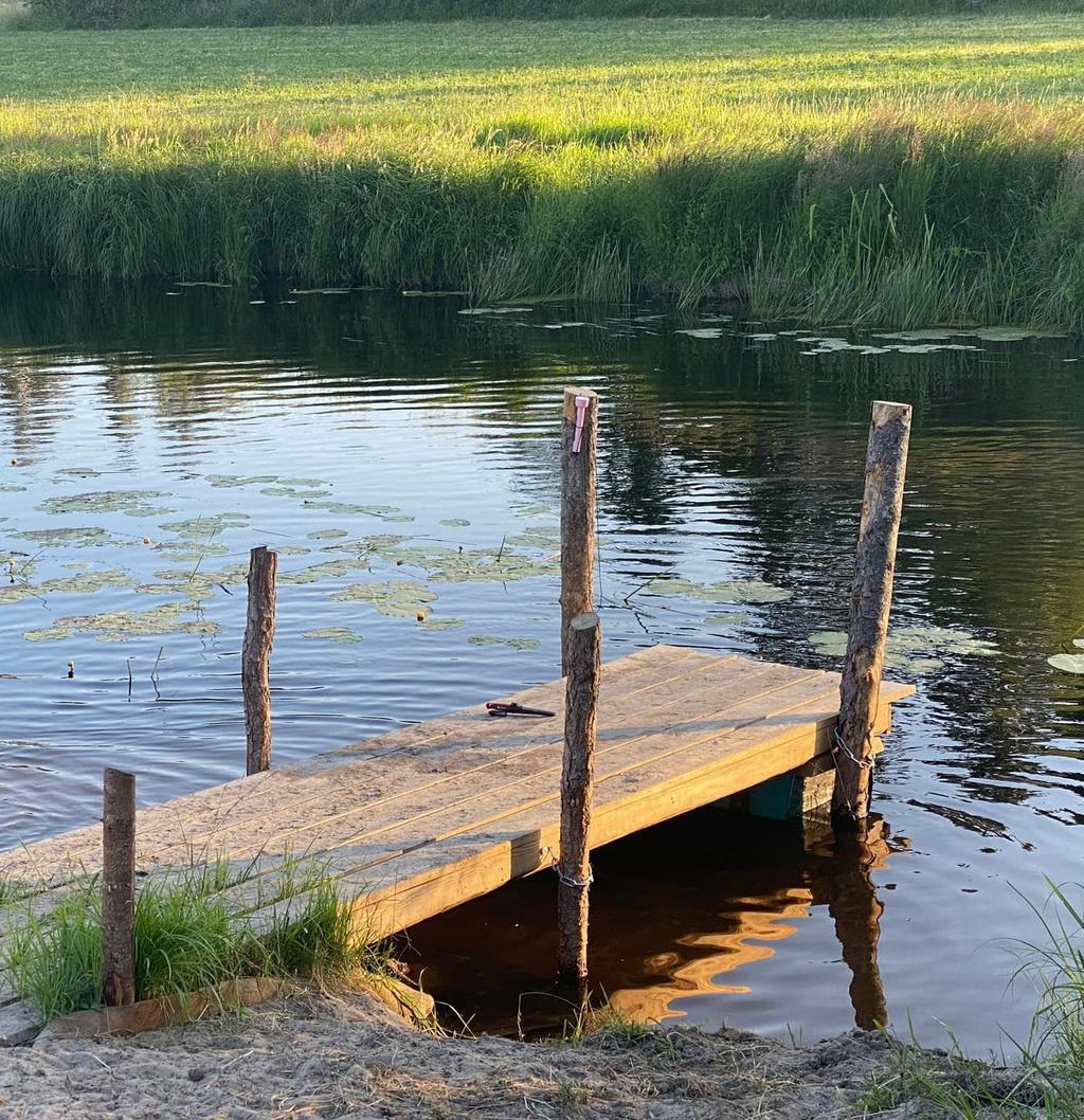 Säljares sommarbild
