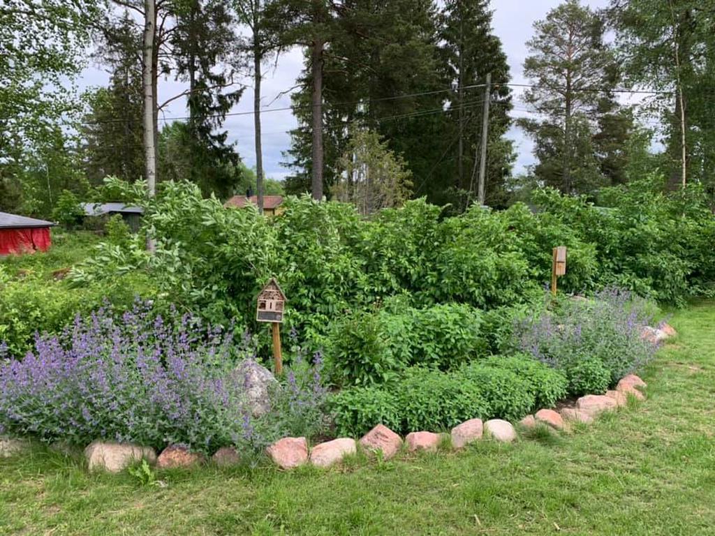Säljares sommarbild