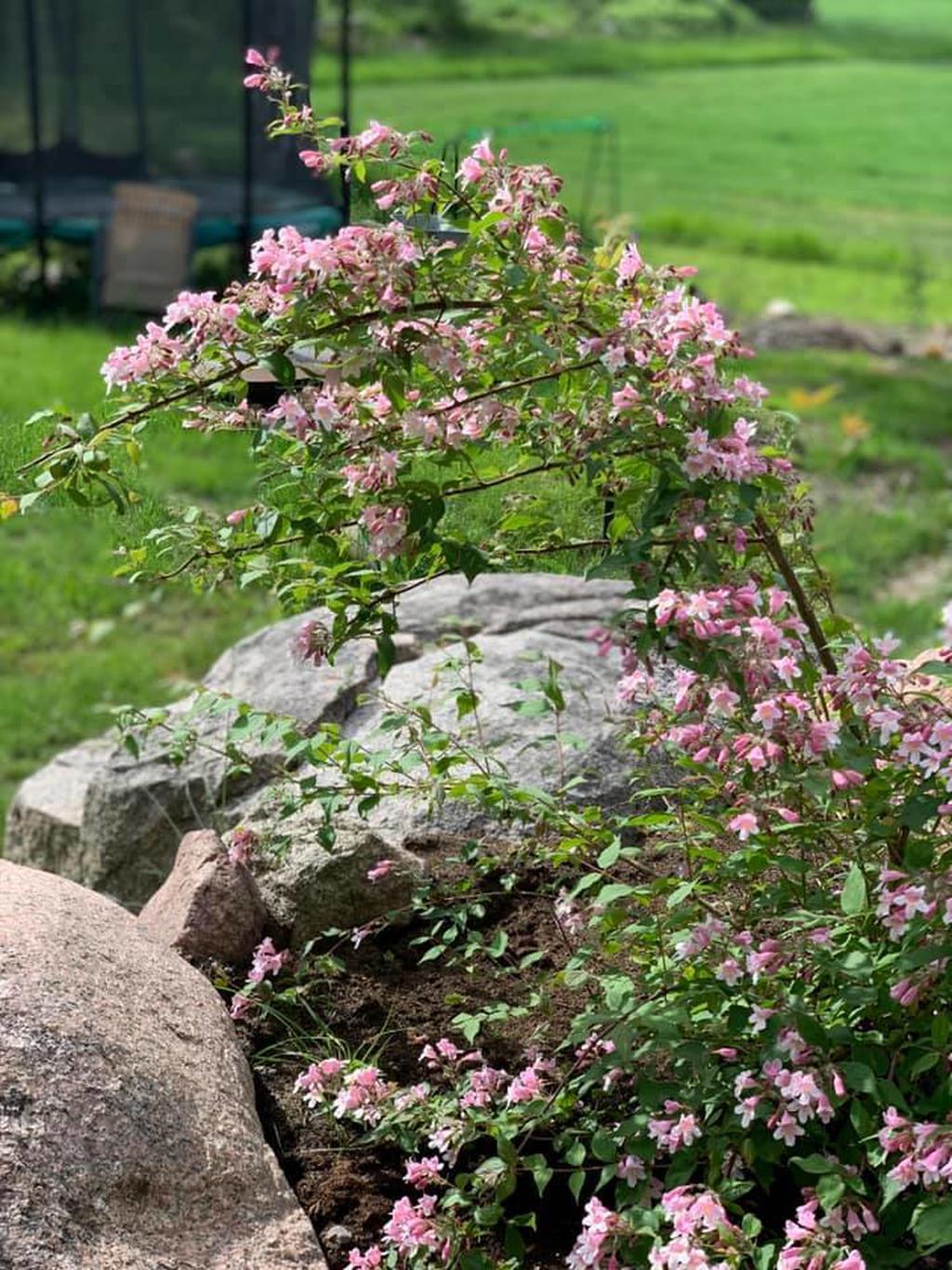 Säljares sommarbild