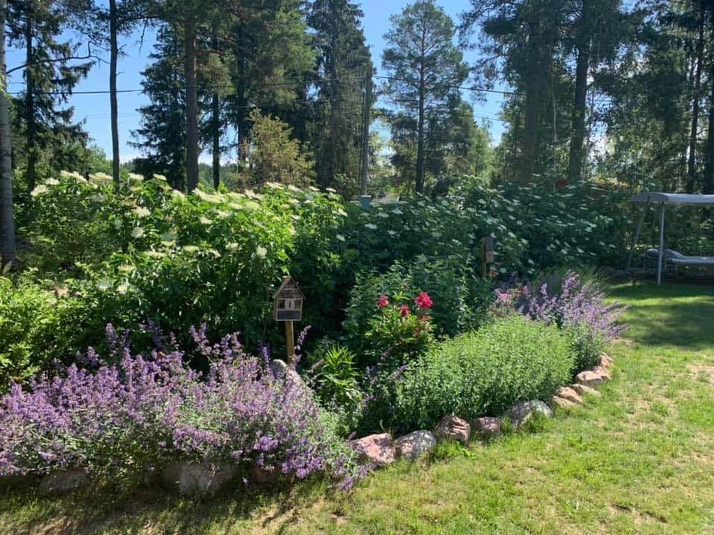 Säljares sommarbild
