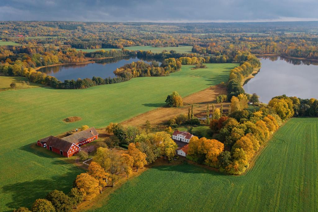 Flygfoto över hela gården