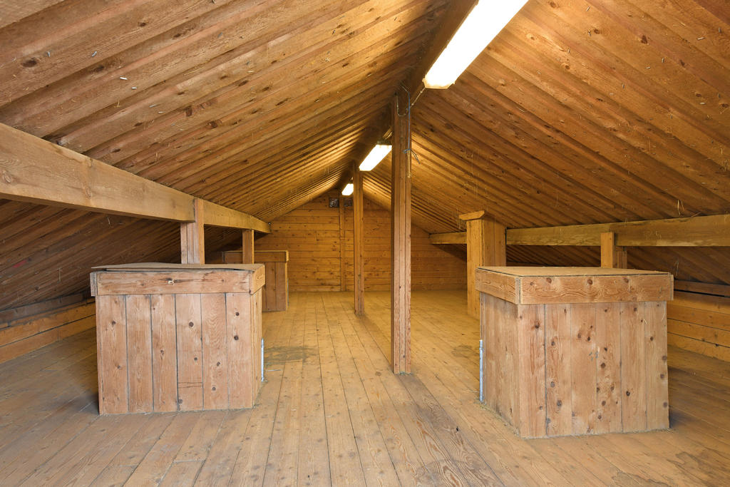 Höskulle