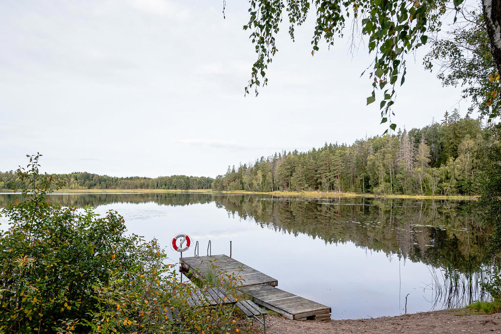 Gemensam brygga i Björndammen