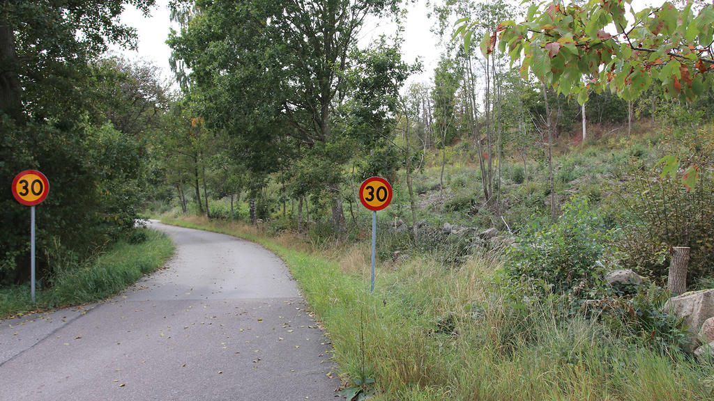 Grönskande omgivningar