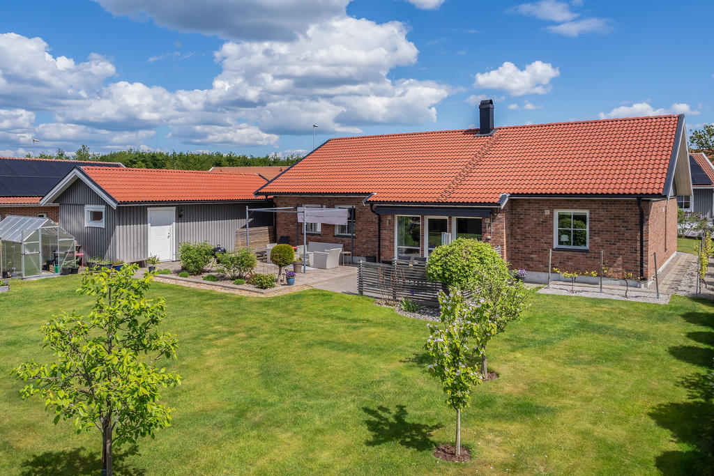 Trädgård