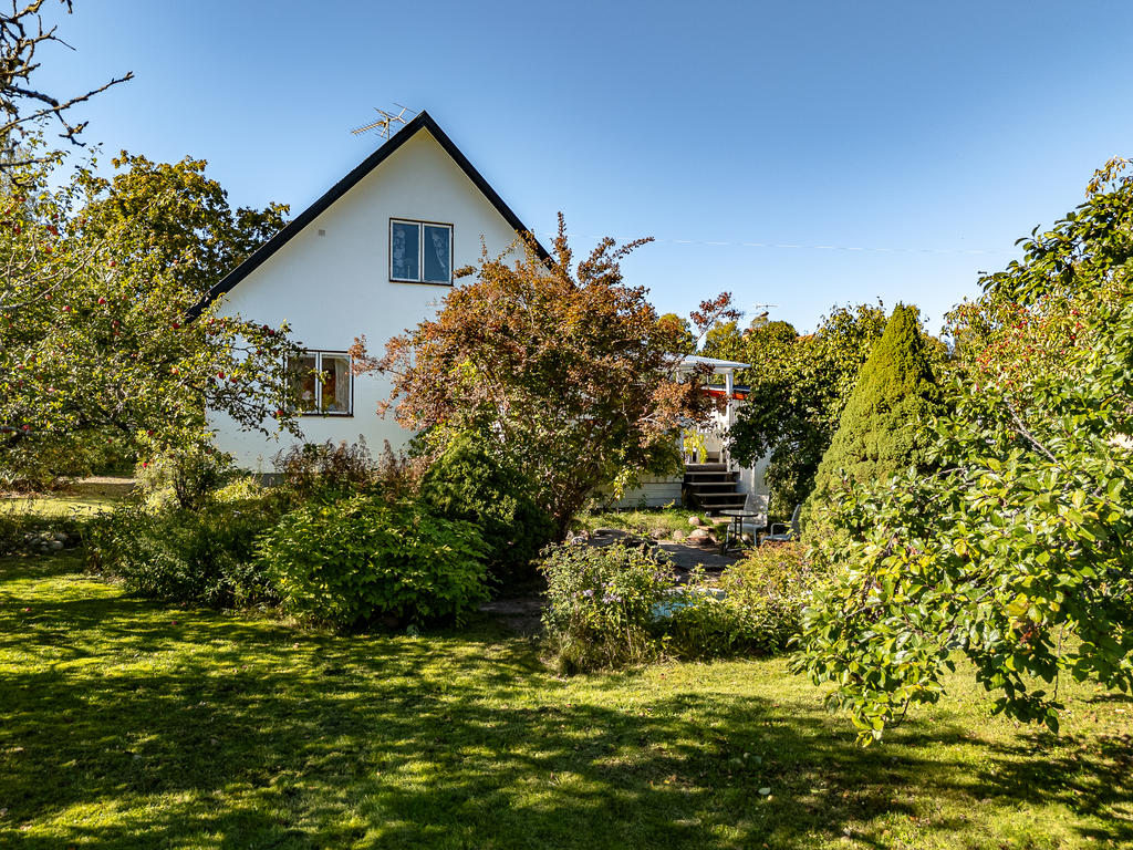 Grönskande trädgård