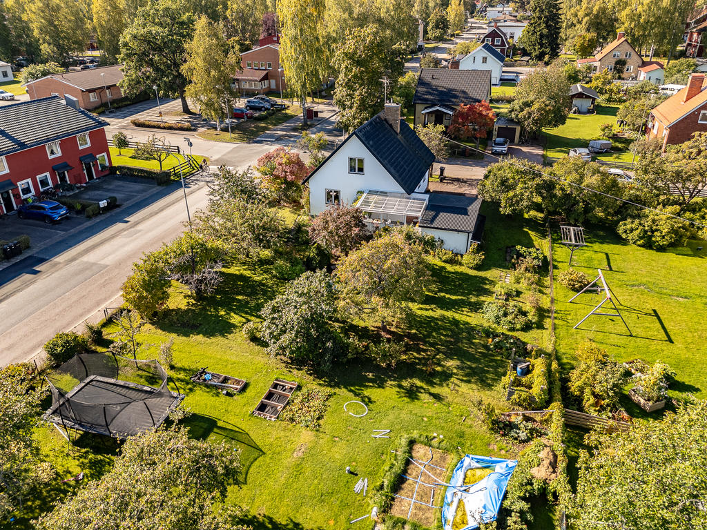 Lummig och grönskande trädgård