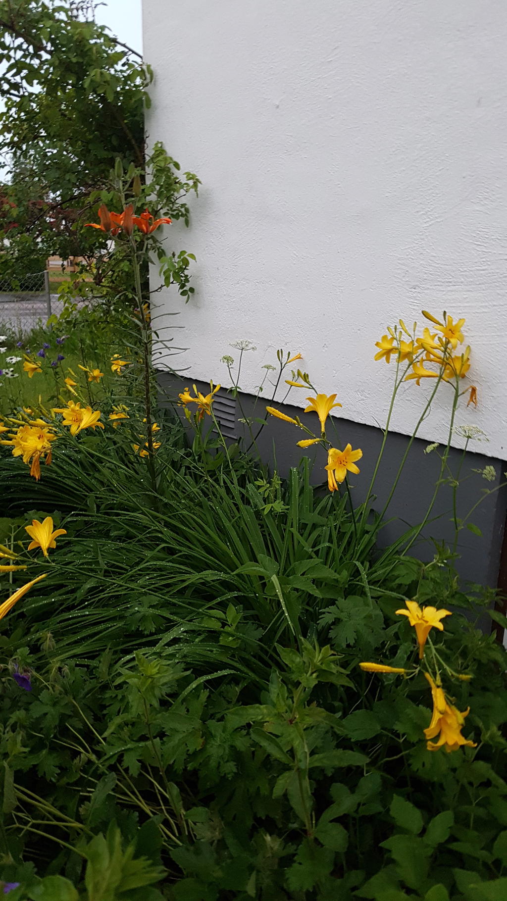 Säljarens sommarbild