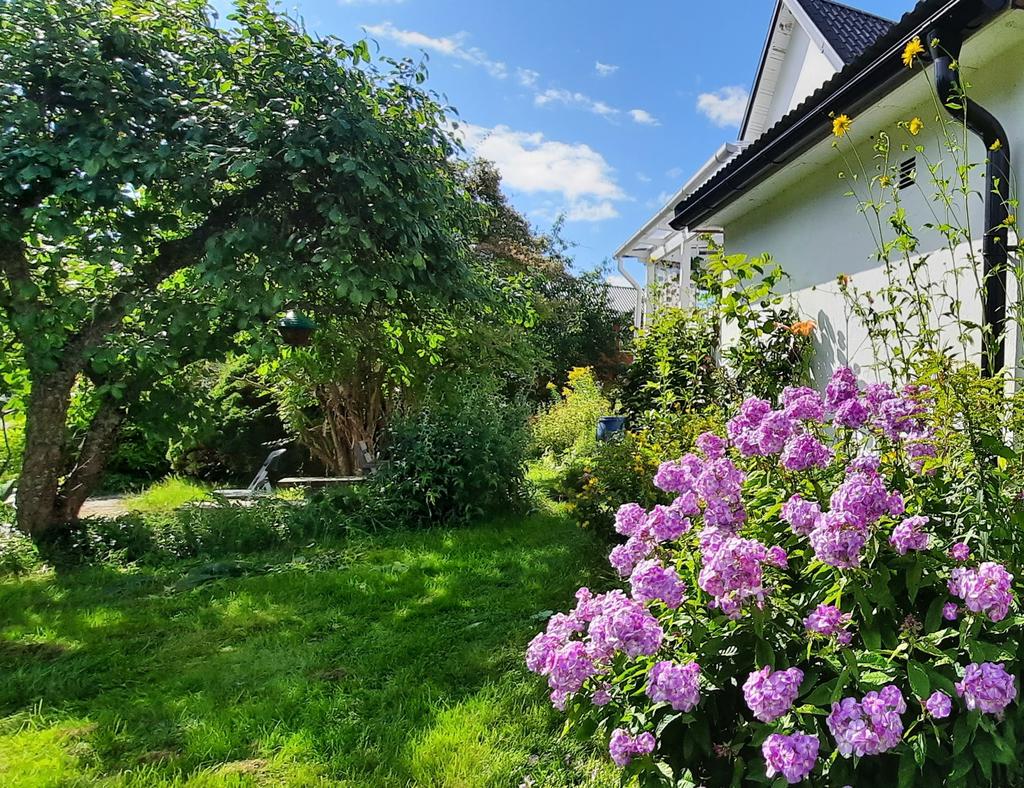 Säljarens sommarbild