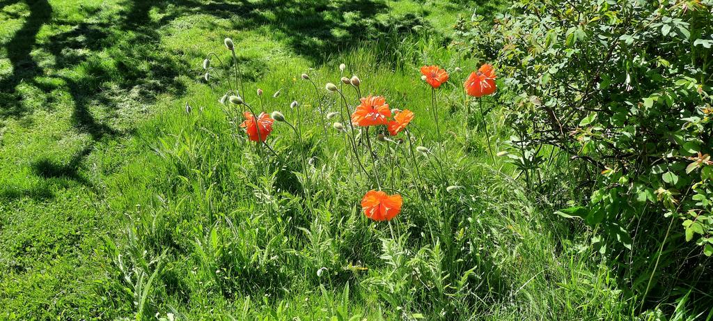 Säljarens sommarbild