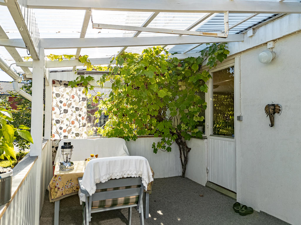 Takad altan med vinrankor!