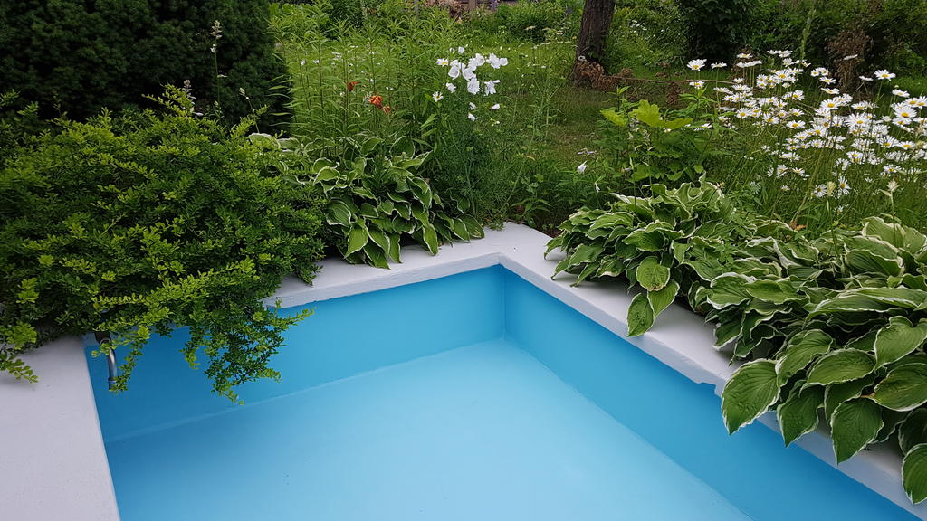 Säljarens sommarbild (nymålad damm 2019)