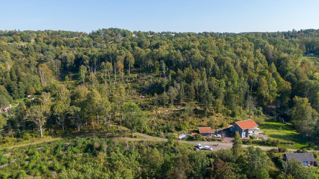 Fint område för flera villatomter