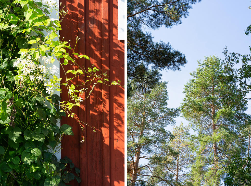 En fantastisk miljö att trivas i!